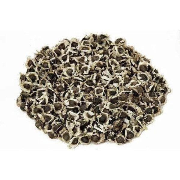 Hybrid Natural Raw Moringa Seeds